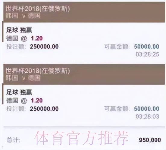 2026世界杯买球APP全站攻略：掌握投注技巧与安全注意事项